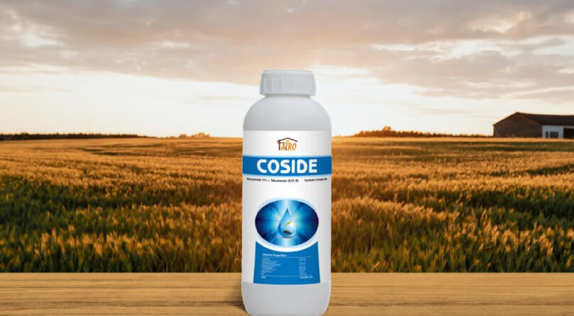 Coside