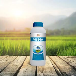 Vilega
